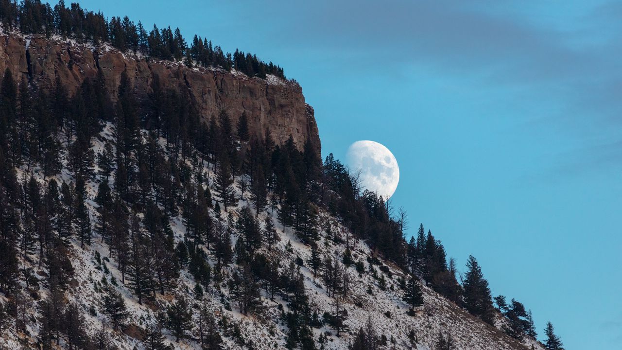 Wallpaper moon, mountain, slope, trees