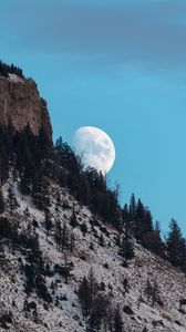 Preview wallpaper moon, mountain, slope, trees