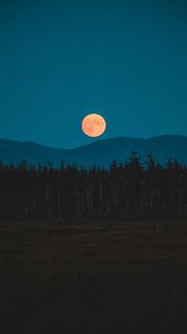 Preview wallpaper moon, mountains, trees, spruce, night