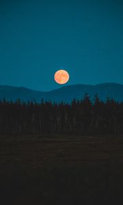 Preview wallpaper moon, mountains, trees, spruce, night