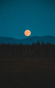 Preview wallpaper moon, mountains, trees, spruce, night