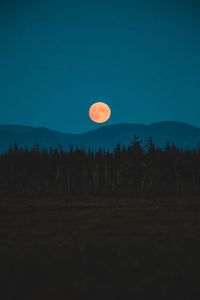 Preview wallpaper moon, mountains, trees, spruce, night