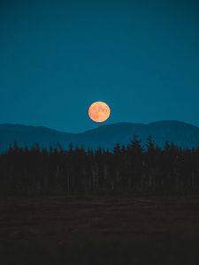 Preview wallpaper moon, mountains, trees, spruce, night