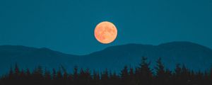 Preview wallpaper moon, mountains, trees, spruce, night