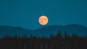 Preview wallpaper moon, mountains, trees, spruce, night