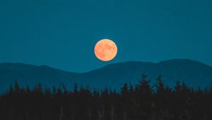 Preview wallpaper moon, mountains, trees, spruce, night