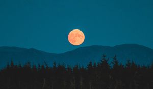 Preview wallpaper moon, mountains, trees, spruce, night