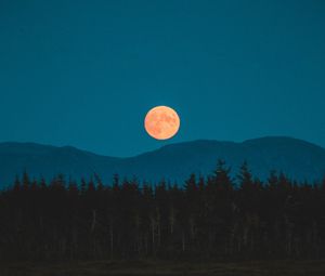 Preview wallpaper moon, mountains, trees, spruce, night