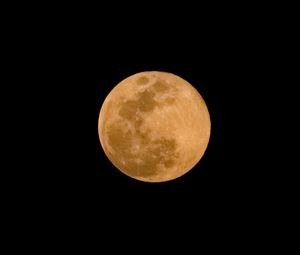 Preview wallpaper moon, night, black, sky