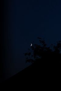 Preview wallpaper moon, night, branches, slope