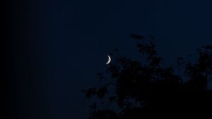 Preview wallpaper moon, night, branches, slope