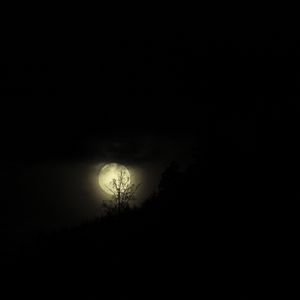 Preview wallpaper moon, night, branches, black