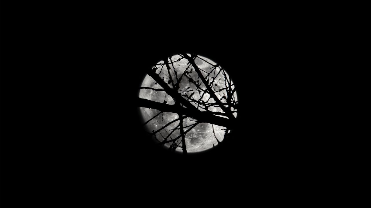 Wallpaper moon, night, branches, silhouettes, black