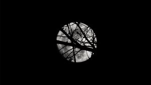 Preview wallpaper moon, night, branches, silhouettes, black