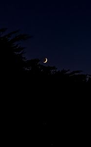 Preview wallpaper moon, night, branches, silhouettes, dark