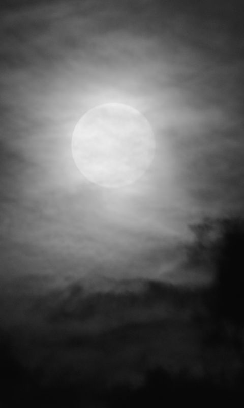 480x800 Wallpaper moon, night, clouds, sky, bw