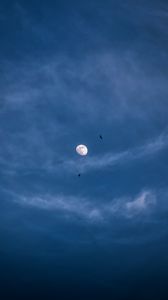 Preview wallpaper moon, night, clouds, birds