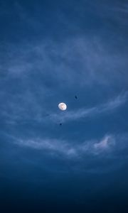 Preview wallpaper moon, night, clouds, birds