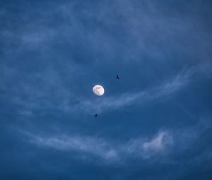 Preview wallpaper moon, night, clouds, birds