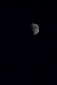 Preview wallpaper moon, night, dark, bw