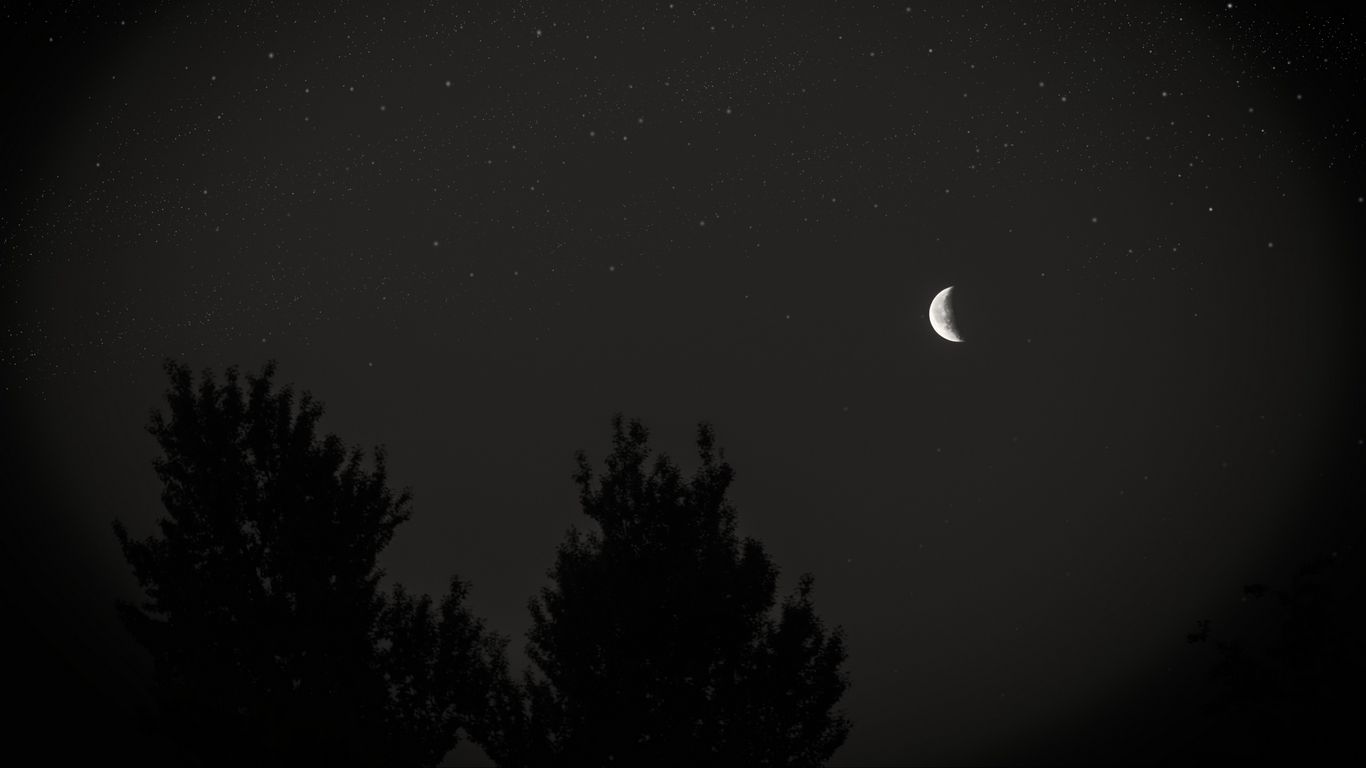 Download wallpaper 1366x768 moon, night, sky, tree, stars, dark tablet,  laptop hd background