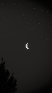 Preview wallpaper moon, night, sky, tree, stars, dark