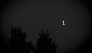 Preview wallpaper moon, night, sky, tree, stars, dark