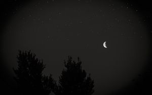 Preview wallpaper moon, night, sky, tree, stars, dark