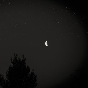 Preview wallpaper moon, night, sky, tree, stars, dark