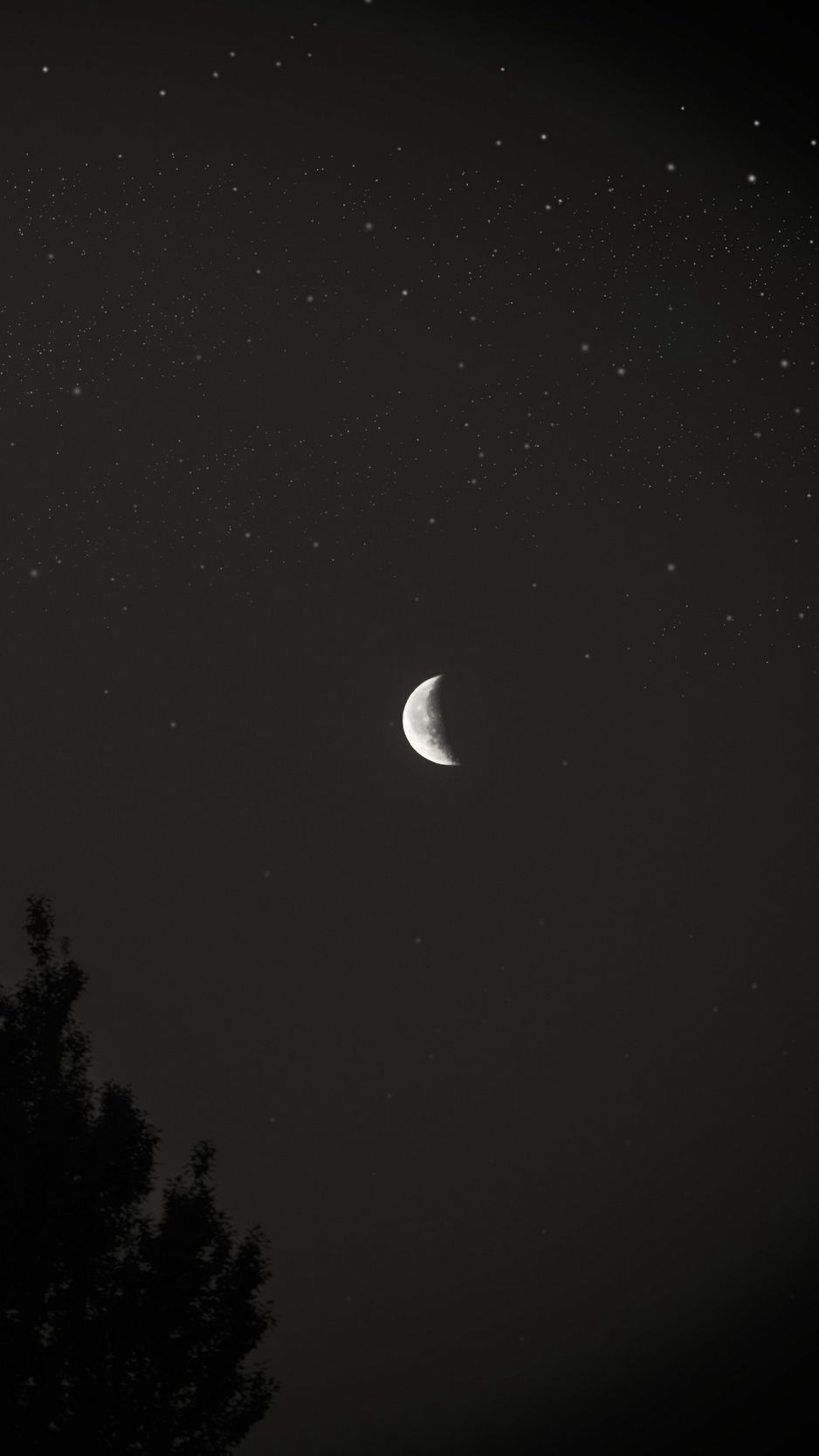 Download wallpaper 938x1668 moon, night, sky, tree, stars, dark iphone  8/7/6s/6 for parallax hd background
