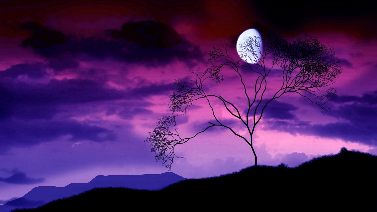 Wallpaper moon, night, sky, lilac, tree, bush, branches, outlines