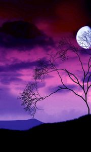 Preview wallpaper moon, night, sky, lilac, tree, bush, branches, outlines
