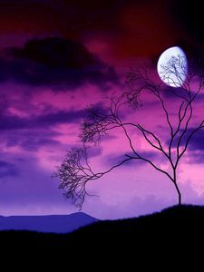 Preview wallpaper moon, night, sky, lilac, tree, bush, branches, outlines