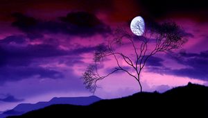 Preview wallpaper moon, night, sky, lilac, tree, bush, branches, outlines