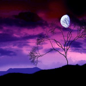 Preview wallpaper moon, night, sky, lilac, tree, bush, branches, outlines
