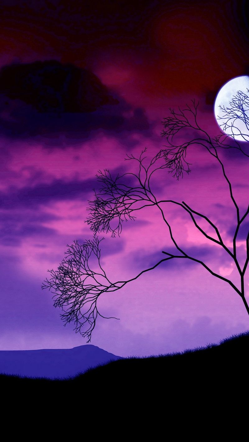 Download wallpaper 800x1420 moon, night, sky, lilac, tree, bush ...