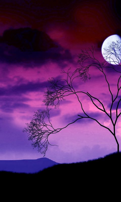 Download wallpaper 480x800 moon, night, sky, lilac, tree, bush ...