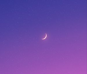 Preview wallpaper moon, night, stars, purple