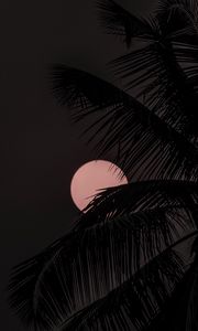 Preview wallpaper moon, palm tree, silhouettes, night, dark