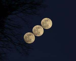 Preview wallpaper moon, phases, full moon, night, sky