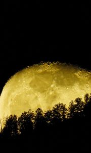 Preview wallpaper moon, planet, trees, silhouettes, night, dark