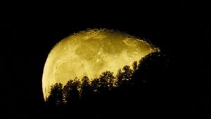 Preview wallpaper moon, planet, trees, silhouettes, night, dark