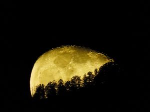Preview wallpaper moon, planet, trees, silhouettes, night, dark