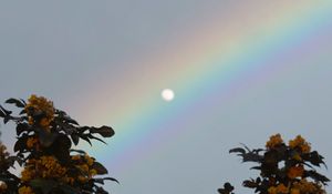 Preview wallpaper moon, rainbow, tree, branches, berries, twilight