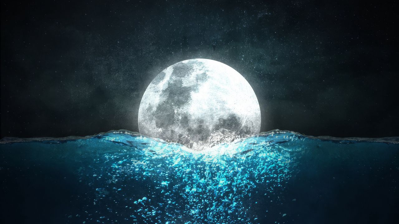 Wallpaper moon, sea, jellyfish, night, underwater world