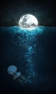 Preview wallpaper moon, sea, jellyfish, night, underwater world