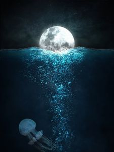 Preview wallpaper moon, sea, jellyfish, night, underwater world