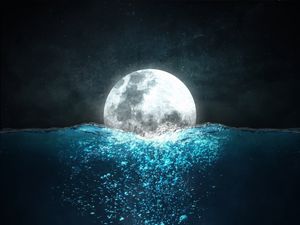 Preview wallpaper moon, sea, jellyfish, night, underwater world