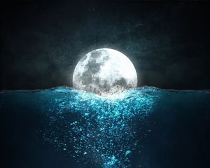 Preview wallpaper moon, sea, jellyfish, night, underwater world