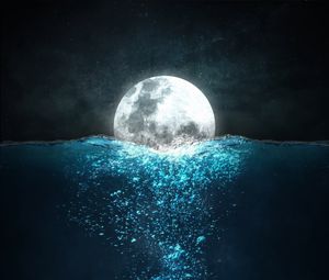 Preview wallpaper moon, sea, jellyfish, night, underwater world